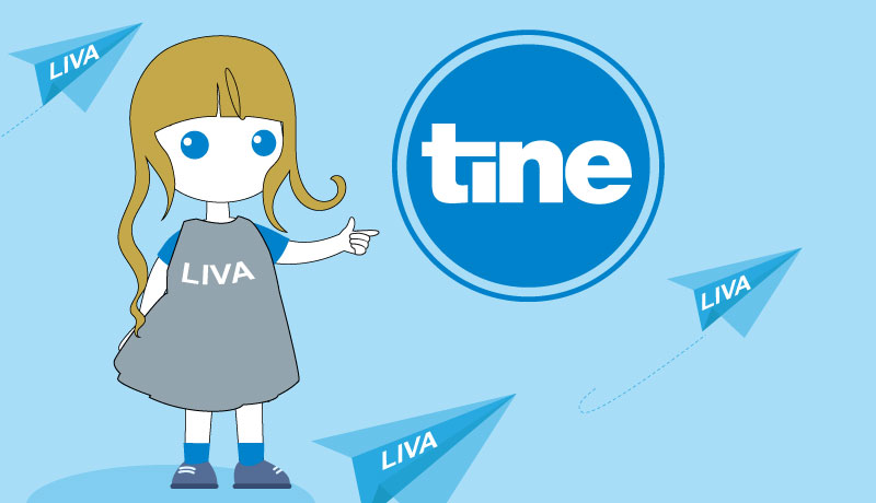 Zwei Männer stehen auf einer Bühne, hinter ihnen ist eine Grafik auf der Leinwand mit dem Thema des Vortrags "Let's talk about (our) PaaS for Pimcore"